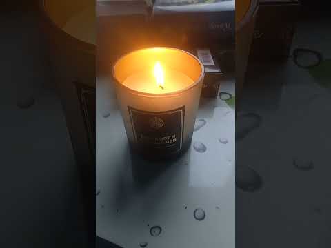 Видео: Говорилка о зависниках