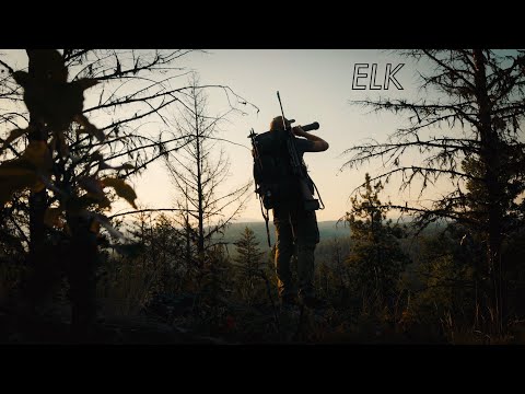 Видео: Охота на лося в Британской Колумбии в сентябре 2025 г.