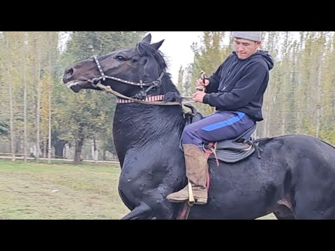 Видео: Пай Паай Паай Доолотто✊️