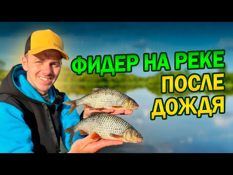 Видео: Фидерная рыбалка на плотву - секреты успешной ловли👌 Тактика ловли ✅