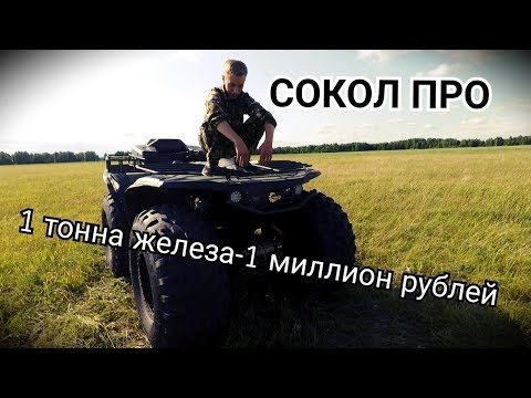 Видео: 1 ТОННА ЖЕЛЕЗА-1 МИЛЛИОН РУБЛЕЙ | СОКОЛ ПРО