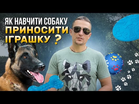 Видео: Як навчити собаку приносити іграшку