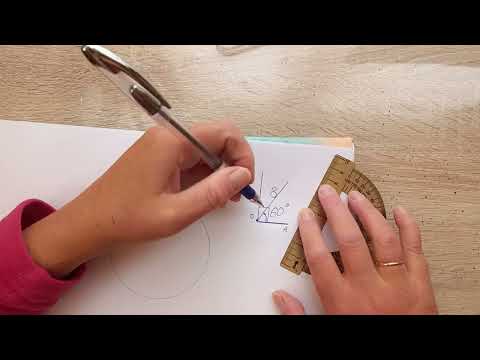 Видео: Круговая диаграмма. Математика 6 класс. Строим углы по транспортиру и решаем задачу💥💯