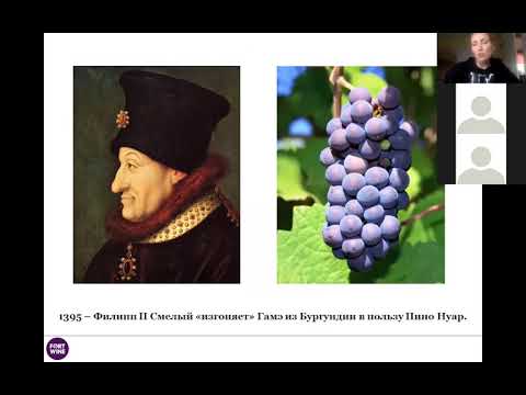 Видео: Онлайн-лекция "Виноделие Бургундии" часть 1