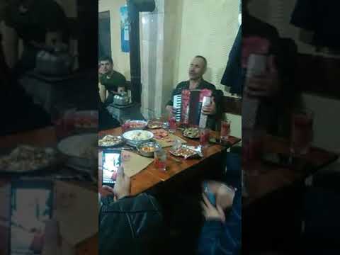 Видео: Брачеди Рохлеви