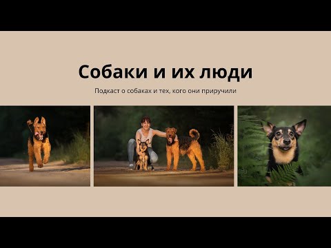 Видео: Канистерапия. “Собаки и их люди”, сезон 2, выпуск 3 #подкаст