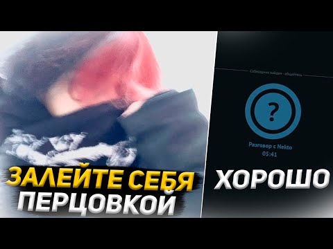 Видео: Курсед Заставил Телок Залиться Перцем | Рофлы в Голосовой Чат Рулетке Nekto.me #12