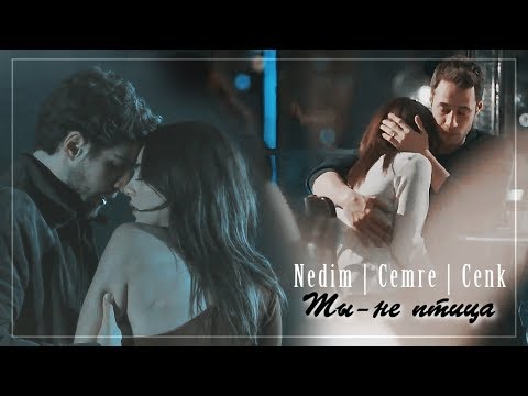 Видео: Nedim & Cemre & Cenk - Ты не птица