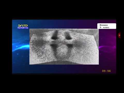 Видео: 9-класс.Магнит.Магнит талаасы