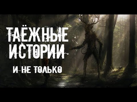 Видео: Взгляд из темноты или таёжная нежить. Страшные. Мистические. Творческие истории.