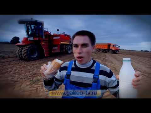 Видео: Галилео. Урожай картошки