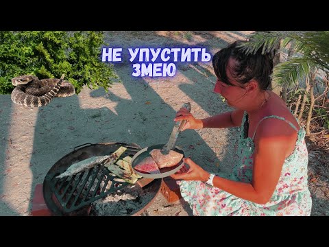 Видео: ГРЕМУЧАЯ ЗМЕЯ в нашем лагере. Форт. Готовим на костре. Путешествие с палаткой в Флориду Vlog