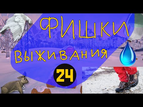 Видео: Фишки выживания в The Long Dark - 24