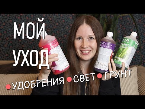 Видео: 🌿 МОЙ УХОД ЗА РАСТЕНИЯМИ. Рассказываю все секреты!
