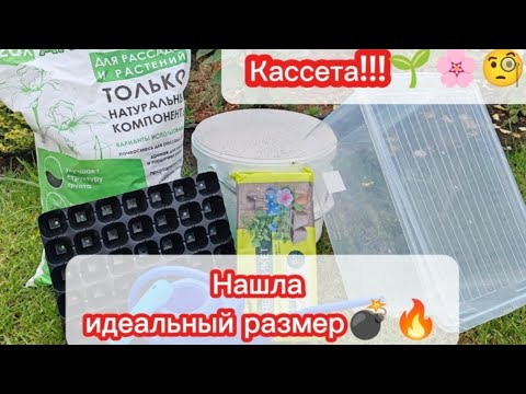Видео: Я нашла её - идеальная кассета для черенкования! 💣🔥Получится у всех💯💪тгк: @ksushavsady