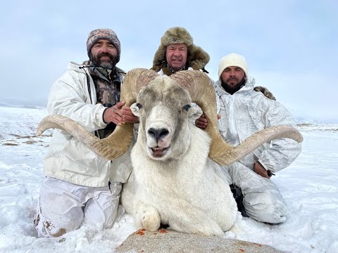 Видео: ТАДЖИКИСТАН!!! Экспедиции Александра Егорова