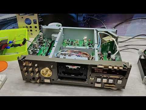 Видео: DailyStream по состоянию дел на 23.09.2025г