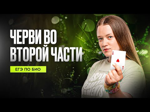 Видео: ЧЕРВИ во второй части: разбираем все картинки с оригинальными критериями