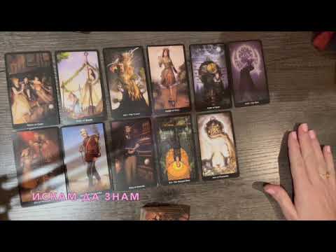 Видео: Какво ви очаква в професионален и любовен план #таро #тароонлайн #тарогадание #тароотношения
