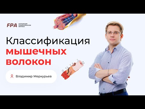 Видео: Классификация мышечных волокон | Владимир Меркурьев (FPA)