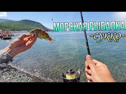 Видео: РЫБАЛКА на Черном море в АНАПЕ. Рыбалка с БЕРЕГА. КЛЮЕТ НА КАЖДОМ ЗАБРОСЕ! Село СУККО. Пляж.