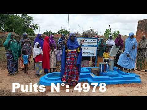 Видео: Puits / Колодец №: 4978 Niger