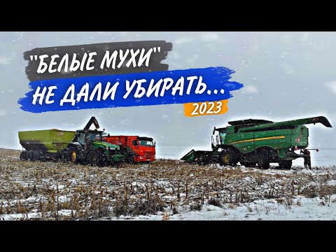 Видео: Последние поле с КУКУРУЗОЙ, а молотить её все труднее и труднее...