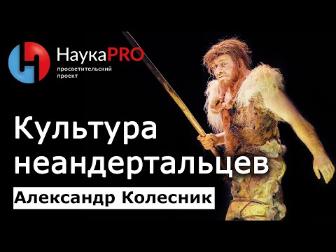 Видео: Культура неандертальцев, их разновидности и окружение – Александр Колесник | Лекции по археологии