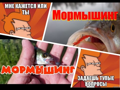 Видео: Мормышинг. Ответы на тупые вопросы!