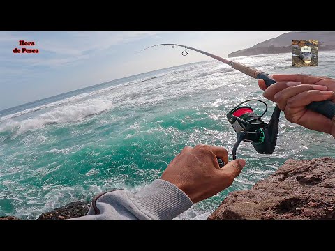 Видео: Экстремальная рыбалка на секретном пляже! Морской окунь и камбала на краю света