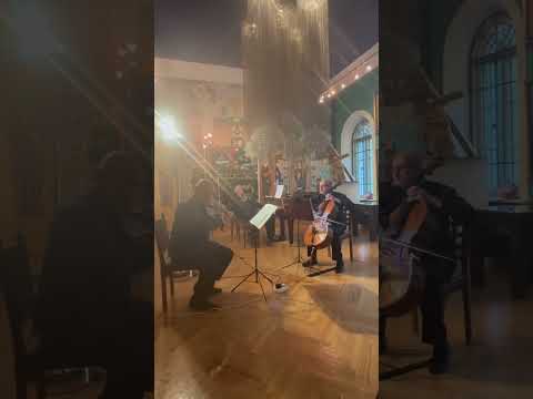 Видео: Ф. Сирис . Элегия для трио.