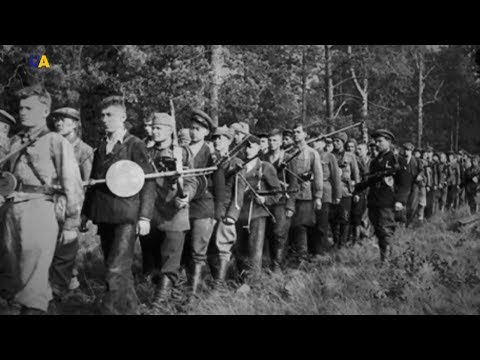 Видео: Карпатский рейд Ковпака: правда и мифы | Пишем историю