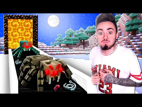 Видео: БЕСКОНЕЧНАЯ ФЕРМА ПАУКОВ В МАЙНКРАФТ!