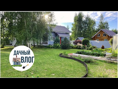 Видео: Покрасили дверь в бытовке Делаю новую клумбу на участке. Собираю урожай . 