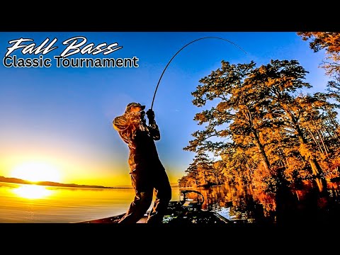 Видео: Рыбалка. Мой самый большой турнир по ловле окуня в этом году!! || День 1. Река Чован