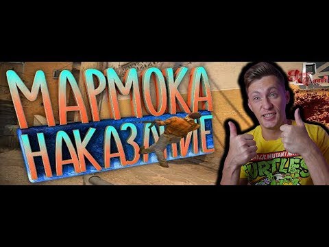 Видео: Наказание МАРМОКА (Фейлы и приколы в играх/монтаж) | JOHAN | РЕАКЦИЯ