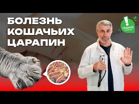 Видео: Болезнь кошачьих царапин