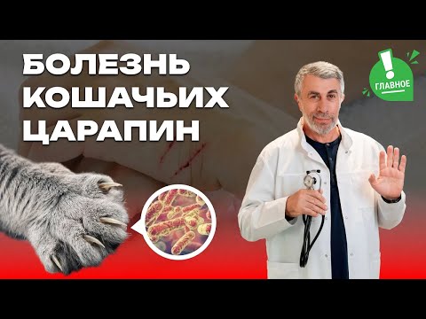 Видео: Болезнь кошачьих царапин