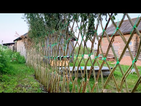 Видео: ЭКСПЕРИМЕНТ! ЖИВАЯ ИЗГОРОДЬ ИЗ ИВЫ! НОВЫЕ ЖИВОТНЫЕ НА ФЕРМЕ!