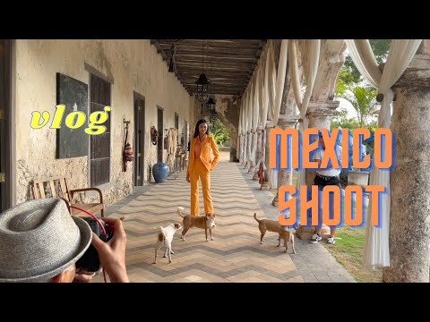 Видео: VLOG 318 - РУГАЮСЬ на подписчиков/куропаток