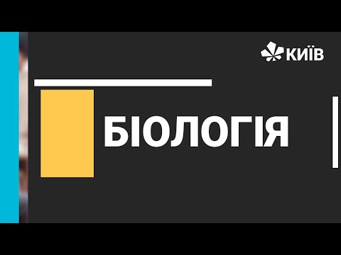 Видео: Біологія, 8 клас, Загальна характеристика сенсорних систем, #Відкритийурок