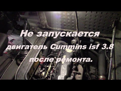Видео: Не запускается двигатель Cummins isf 3.8 после ремонта.Топливный насос камминз cummins валдай