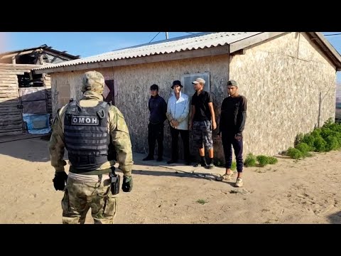 Видео: Шансы спрятаться равны нулю: смотрим, как силовики ловят мигрантов-нелегалов в Волгоградской области