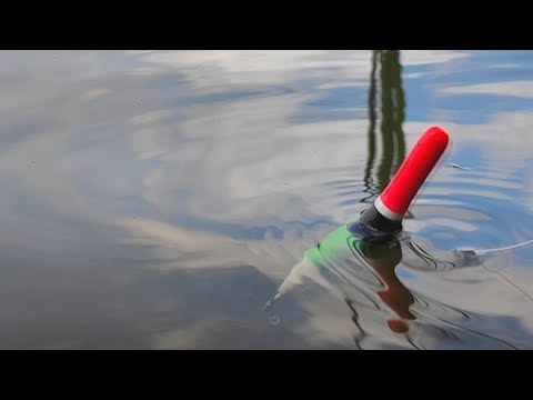 Видео: ВЫЛОЖИЛ ПОПЛАВОК...и ПОПЕР УДОЧКУ- это ОН!  Весенняя рыбалка НА МОРМЫШКУ!
