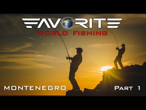 Видео: Favorite World Fishing. Montenegro. Part 1/ Мировая рыбалка с Фаворит. Черногория. Часть 1.