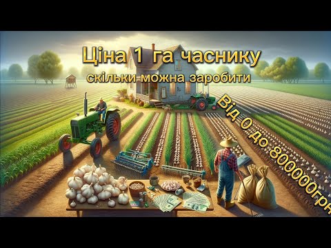 Видео: Ціна 1га часнику. Скільки можна заробити і скільки треба вкласти підрахувавши все.