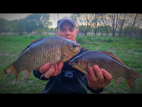 Видео: ЭТА СНАСТЬ ВЫЛОВИТ ВСЮ РЫБУ!!! Ловля Крупного Карася на боковой кивок!
