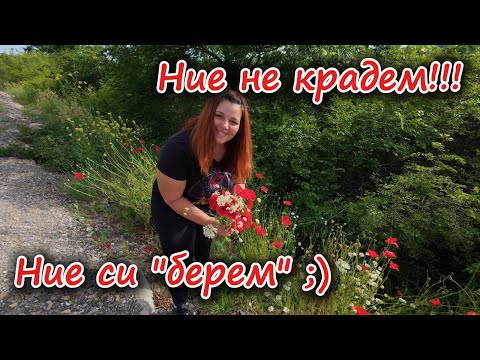 Видео: Живот на село: Чешма блести, асмалък се вие – а в зоопарка маймунка се крие!