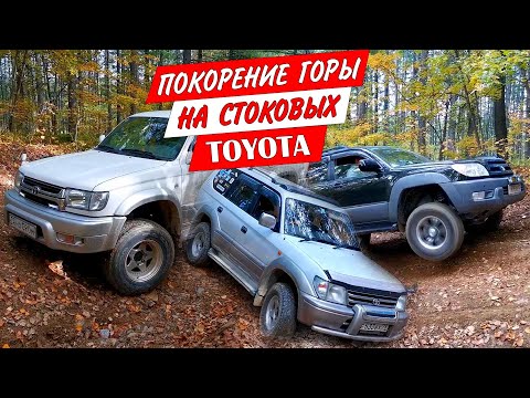 Видео: Стоковые Toyota Land Cruiser Prado и Hilux Surf поднимаются по каменистой размытой дороге на гору