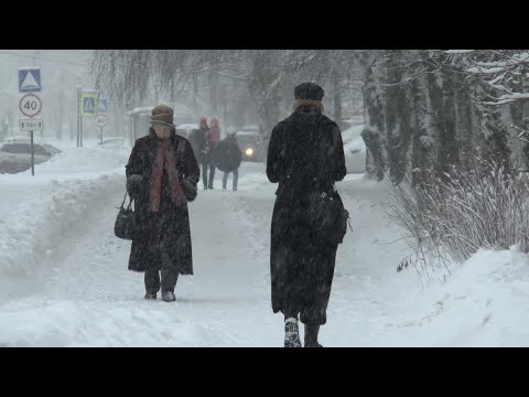 Видео: Петергоф в снегу.